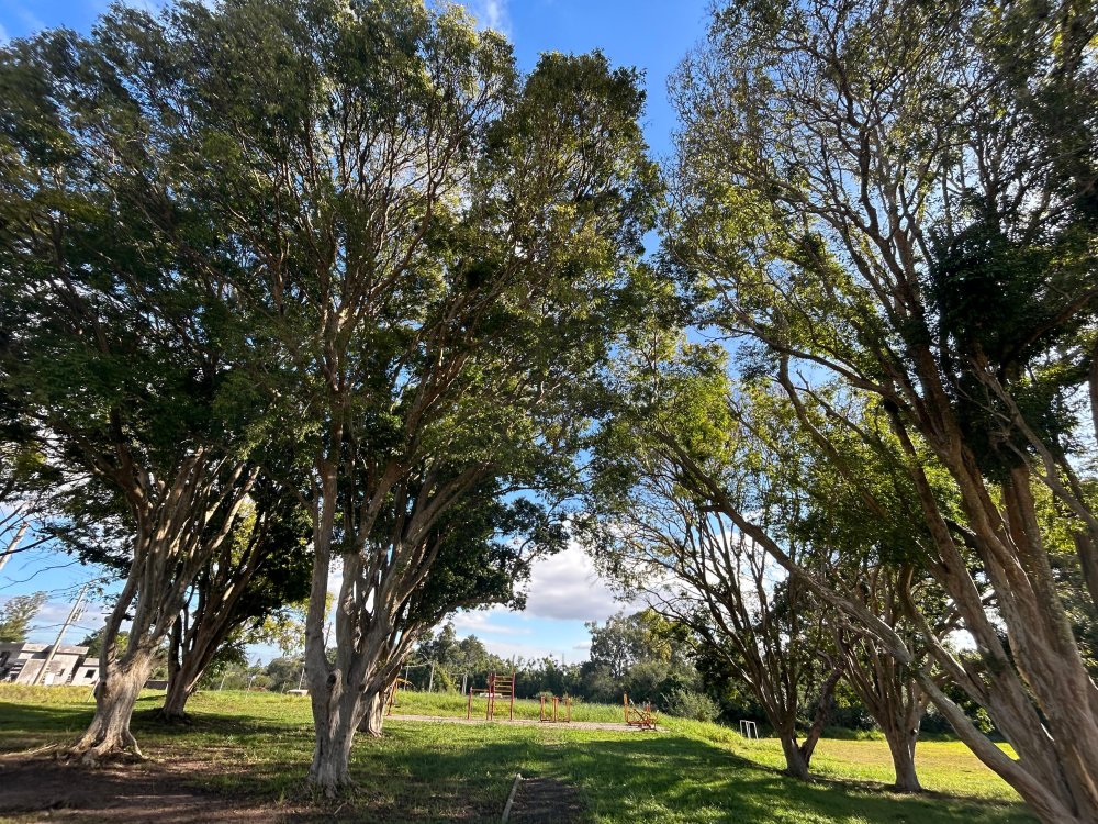 Terreno - Venda - Centro - Nova Santa Rita - RS