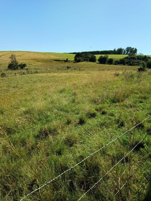 �rea - Venda - Capela - Capela de Santana - RS