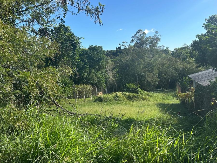 Terreno - Venda - Califórnia - Nova Santa Rita - RS