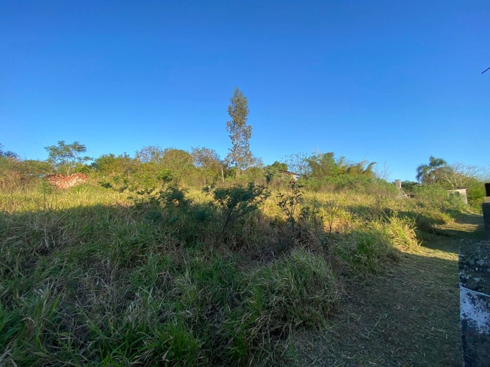 Terreno - Venda - Califrnia - Nova Santa Rita - RS