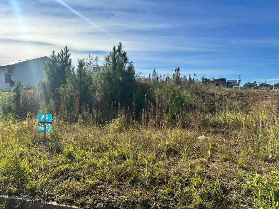 Terreno - Venda - Centro - Nova Santa Rita - RS