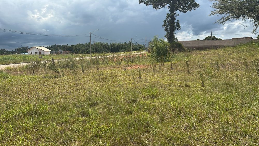 Terreno - Venda - Centro - Nova Santa Rita - RS