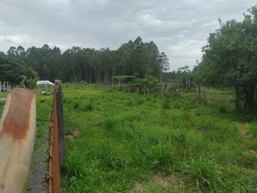 Terreno - Venda - Sanga Funda - Nova Santa Rita - RS