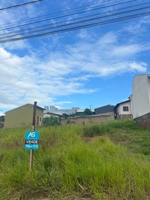 Terreno - Venda - Berto C�rio - Nova Santa Rita - RS