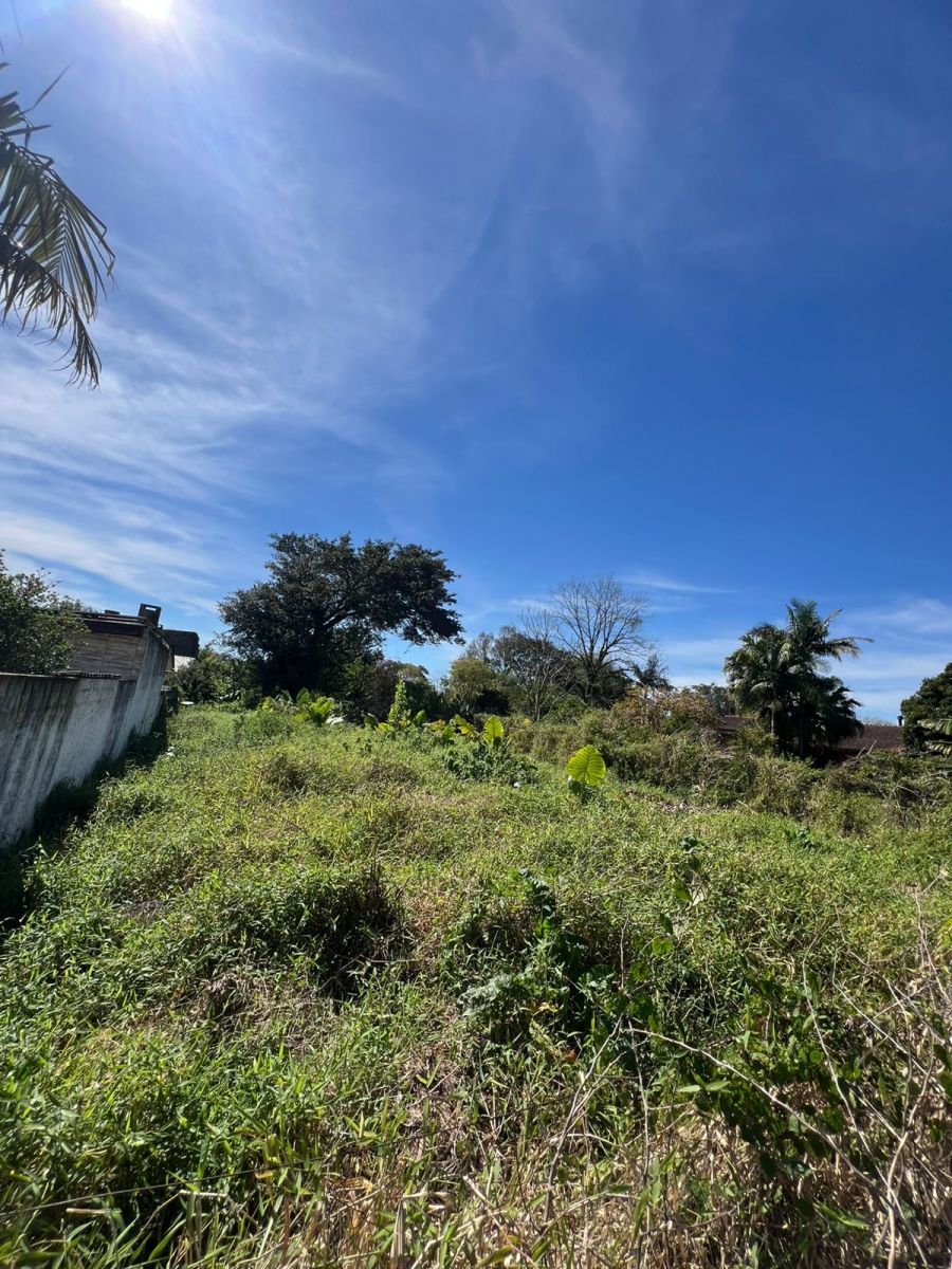 Terreno - Venda - Berto Crio - Nova Santa Rita - RS