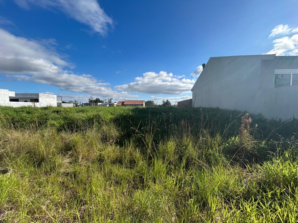 Terreno - Venda - Centro - Nova Santa Rita - RS