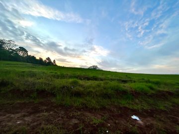 Terreno  Venda